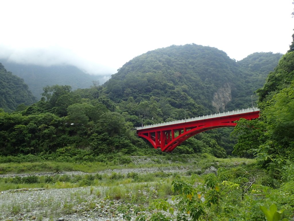 P9098340.JPG - 花蓮  太魯閣  小錐麓步道