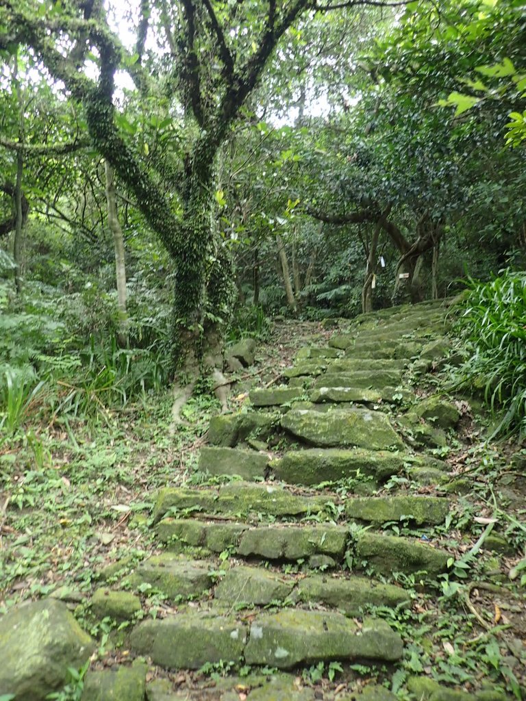 P7062127.JPG - 九份  小粗坑越嶺古道