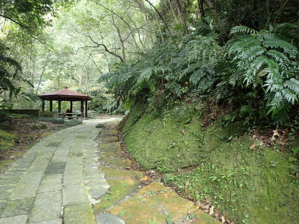 P1294443.JPG - 獅頭山  獅山古道  (01)