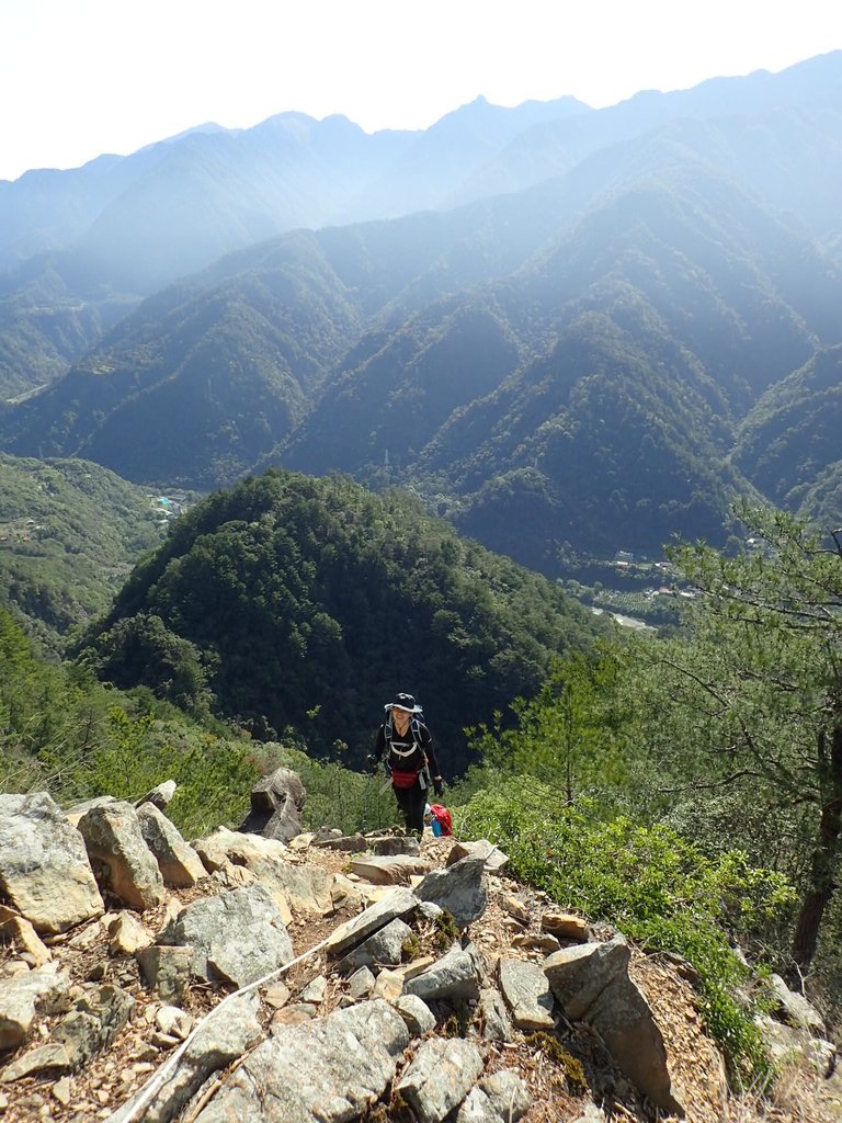 P3167195.JPG - 谷關  東卯山東南稜