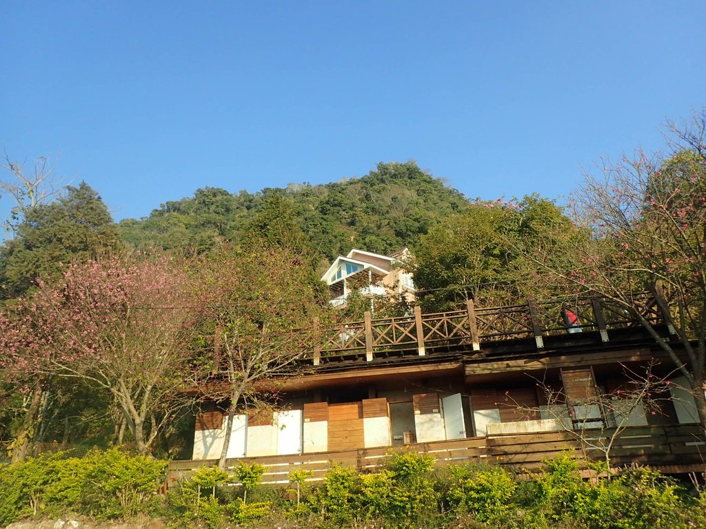 P2276011.JPG - 太平  暗影山(酒桶山)