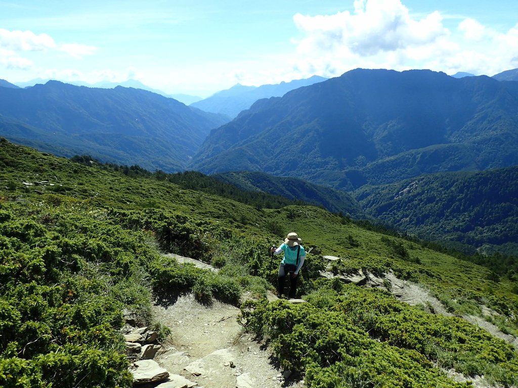 P7245954.JPG - 合歡山  北峰之美  (上)