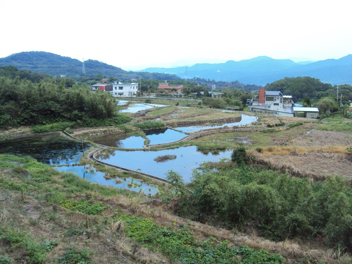 DSC09052.JPG - 金山  葵扇湖田野風光(二) 