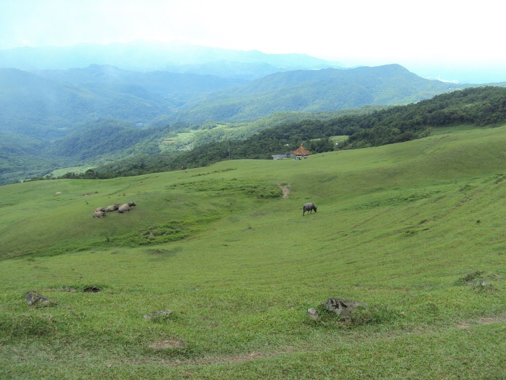 DSC07400.JPG - 再訪---  貢寮  桃源谷步道