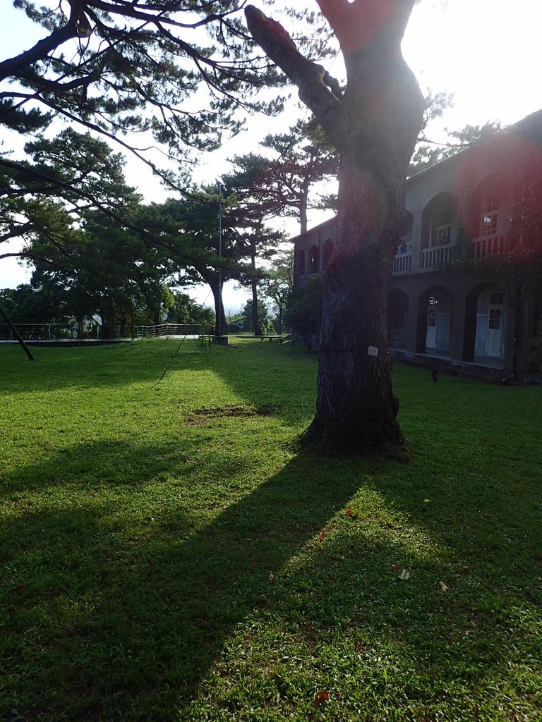 P8130699.JPG - 再訪  花蓮  松園別館