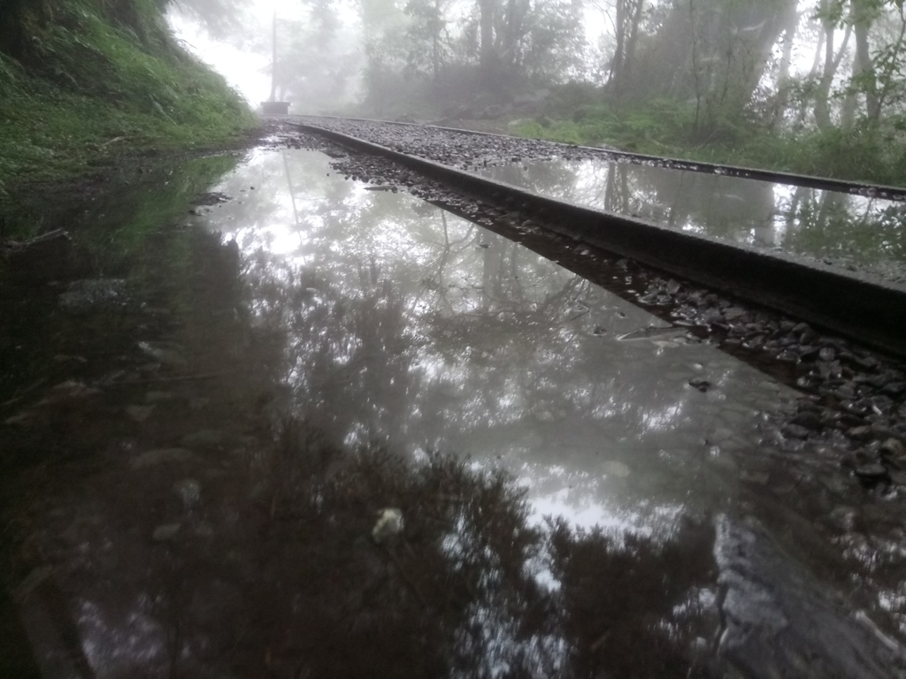 DSC_5636.JPG - 太平山 見晴懷古步道