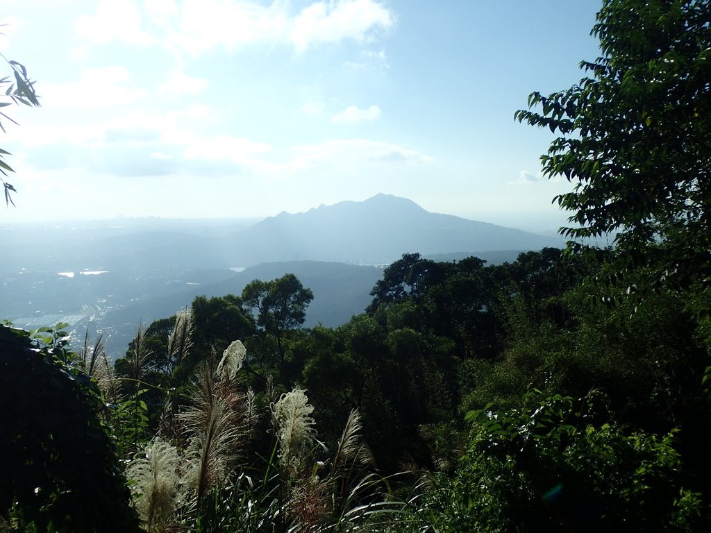 PB247273.JPG - 北投  中正山登山步道 01