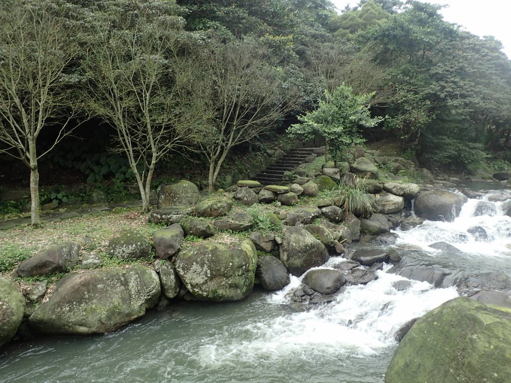 P2055221.JPG - 法鼓山  走春  2019