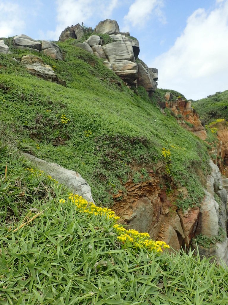 P5056595.JPG - 金山  燭臺雙ˊ峙 神秘海岸