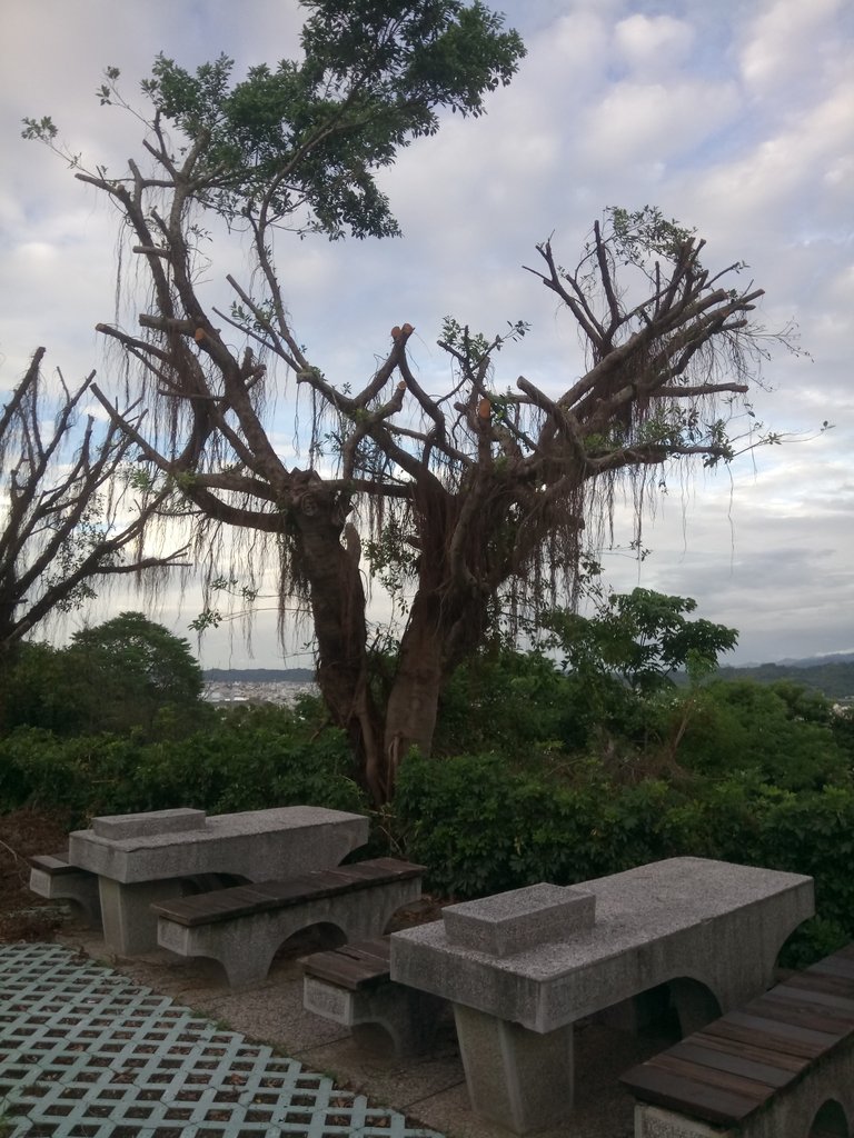 DSC_8999.JPG - 苗栗  稻荷神社遺址