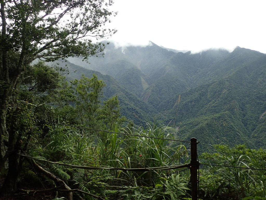 P8287297.JPG - 苗栗  泰安  虎山行