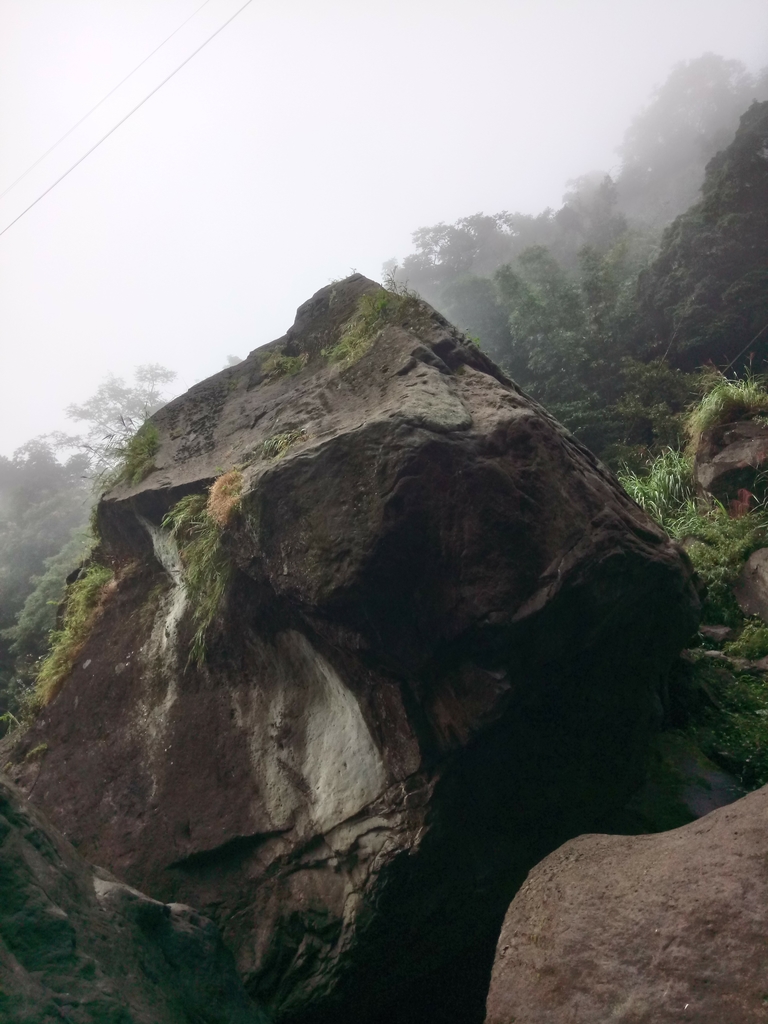 DSC_1177.JPG - 草嶺  蓬萊瀑布步道