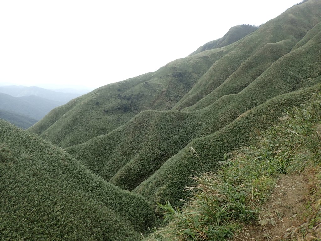 PB159048.JPG - 礁溪  聖母登山步道  (抹茶山)