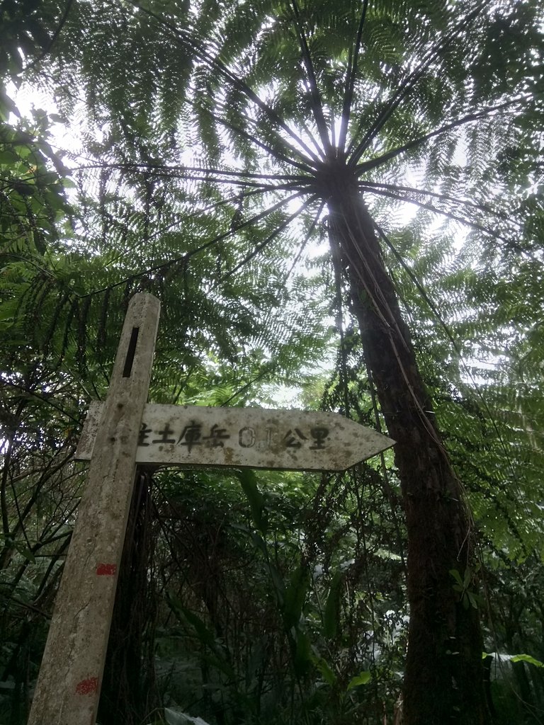 DSC_6025.JPG - 深坑  土庫岳登山步道  (01)