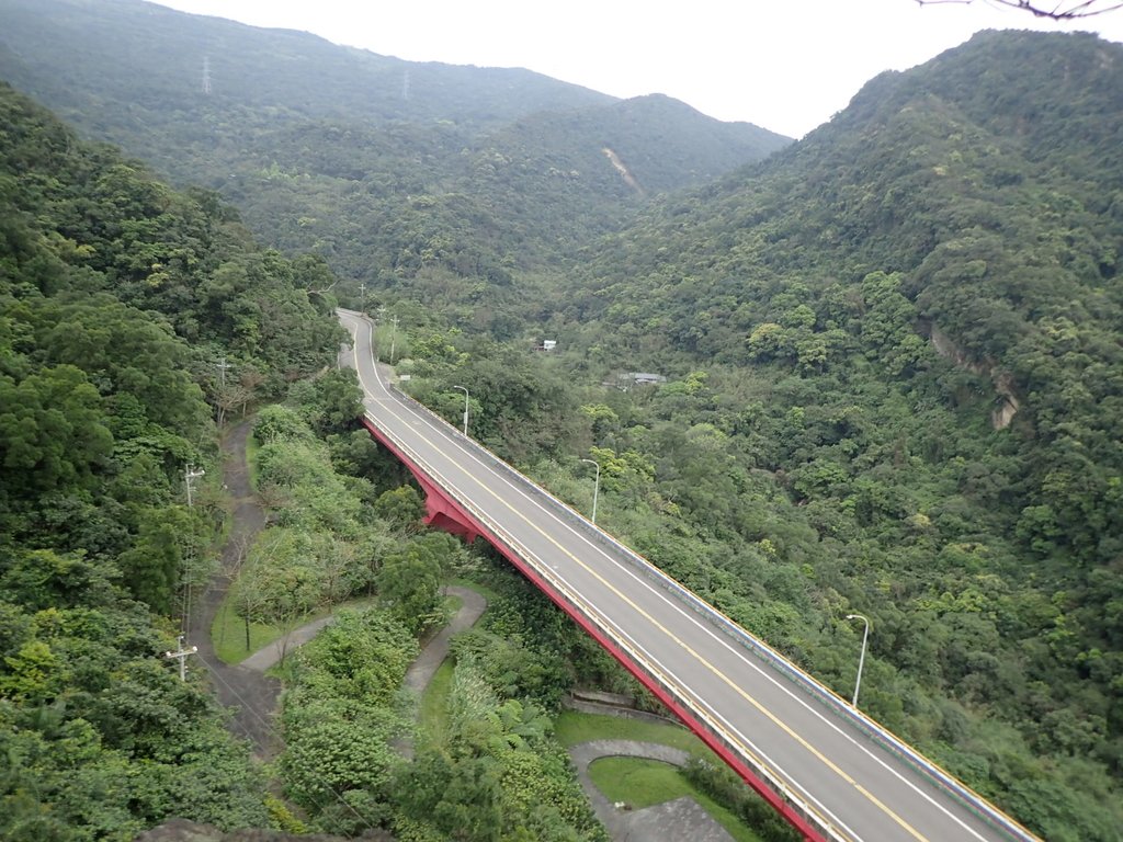 P3160181.JPG - 汐止  金面山(金明山)  稜線步道