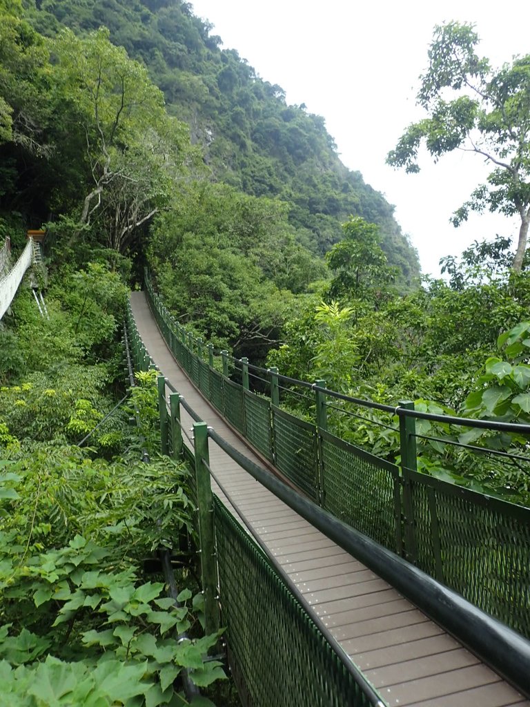 P9098344.JPG - 花蓮  太魯閣  小錐麓步道