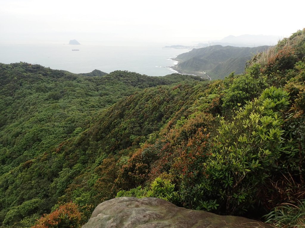 P3308208.JPG - 萬里  瑪鋉山  (望洋崖)