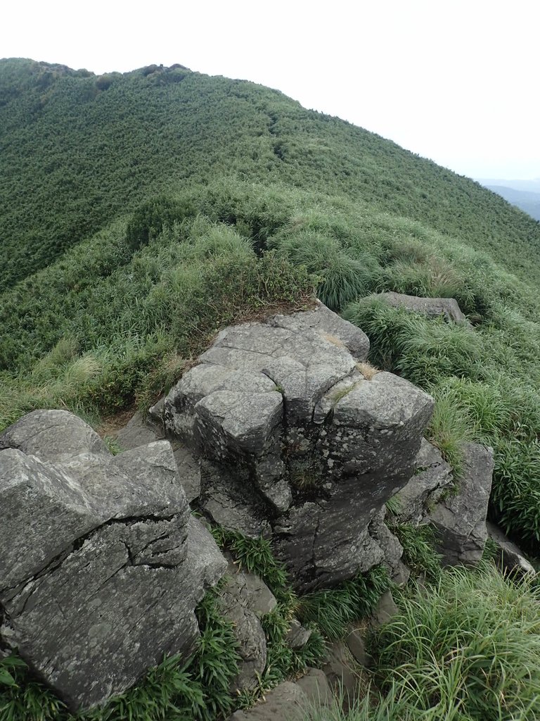 P7165509.JPG - 小觀音山  西峰登山步道