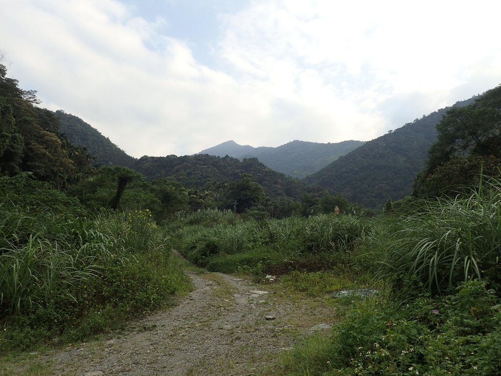 PA040505.JPG - 魚池  大尖山  鹽土坑林道