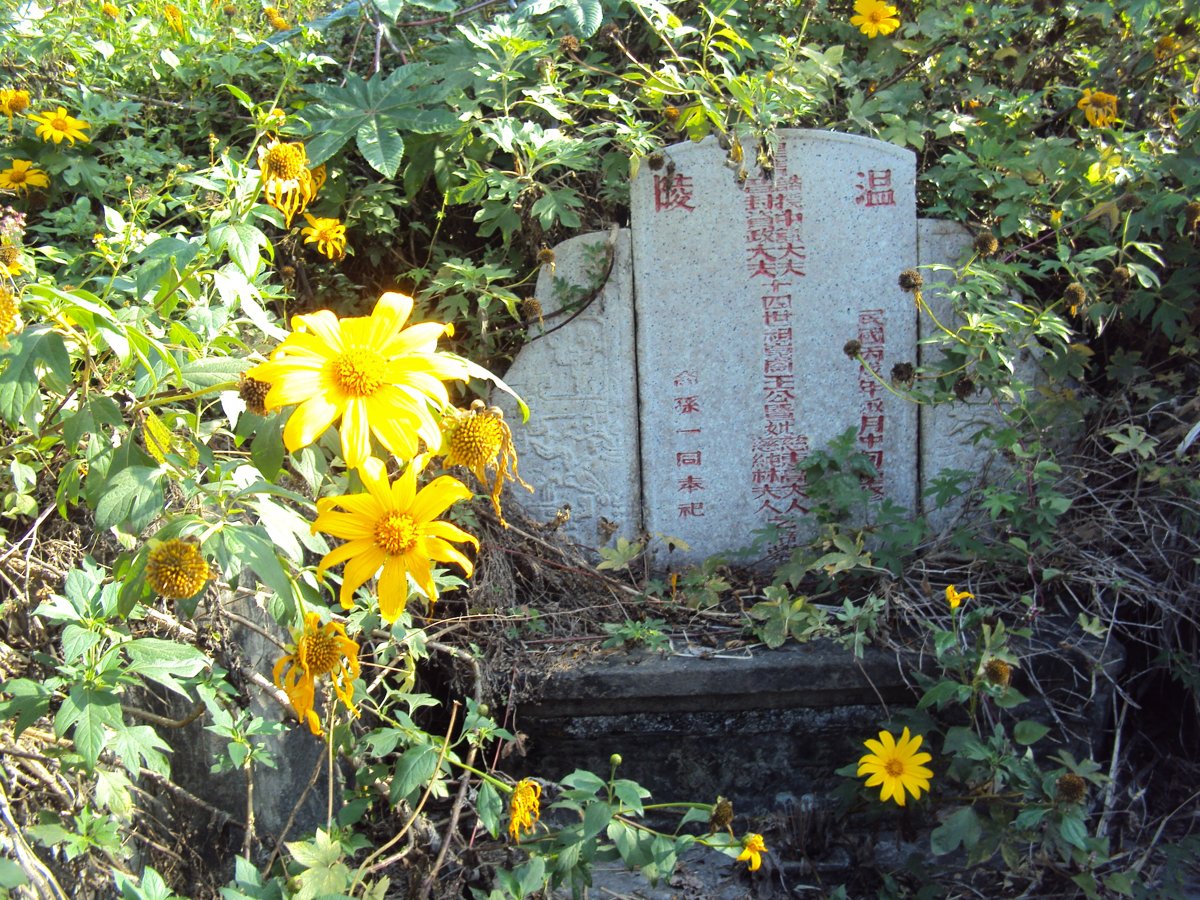 DSC04687.JPG - 大甲  中議大夫  王崑崗墓