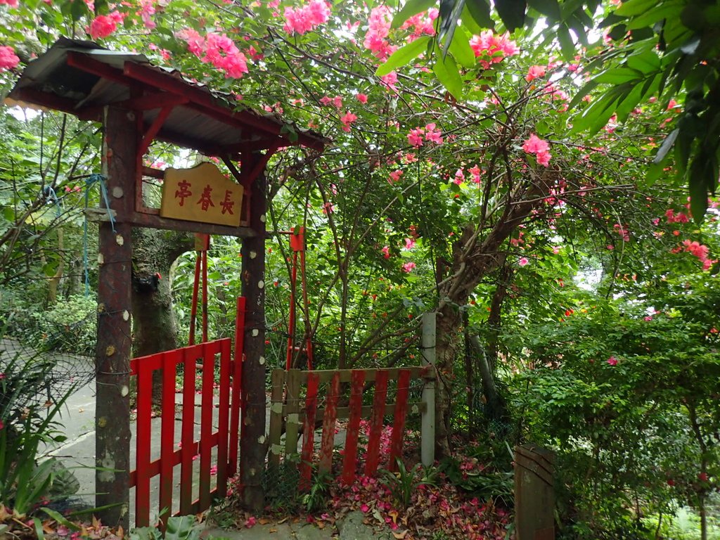 P1122657.JPG - 大直圓山風景區  劍潭山