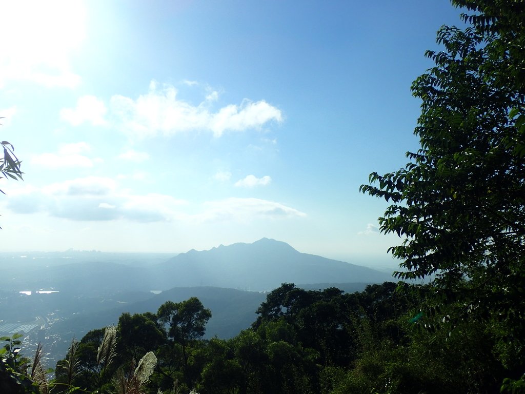 PB247274.JPG - 北投  中正山登山步道 01