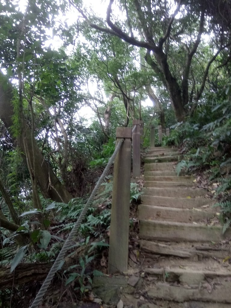 DSC_5144.JPG - 三峽  鳶尾山登山步道