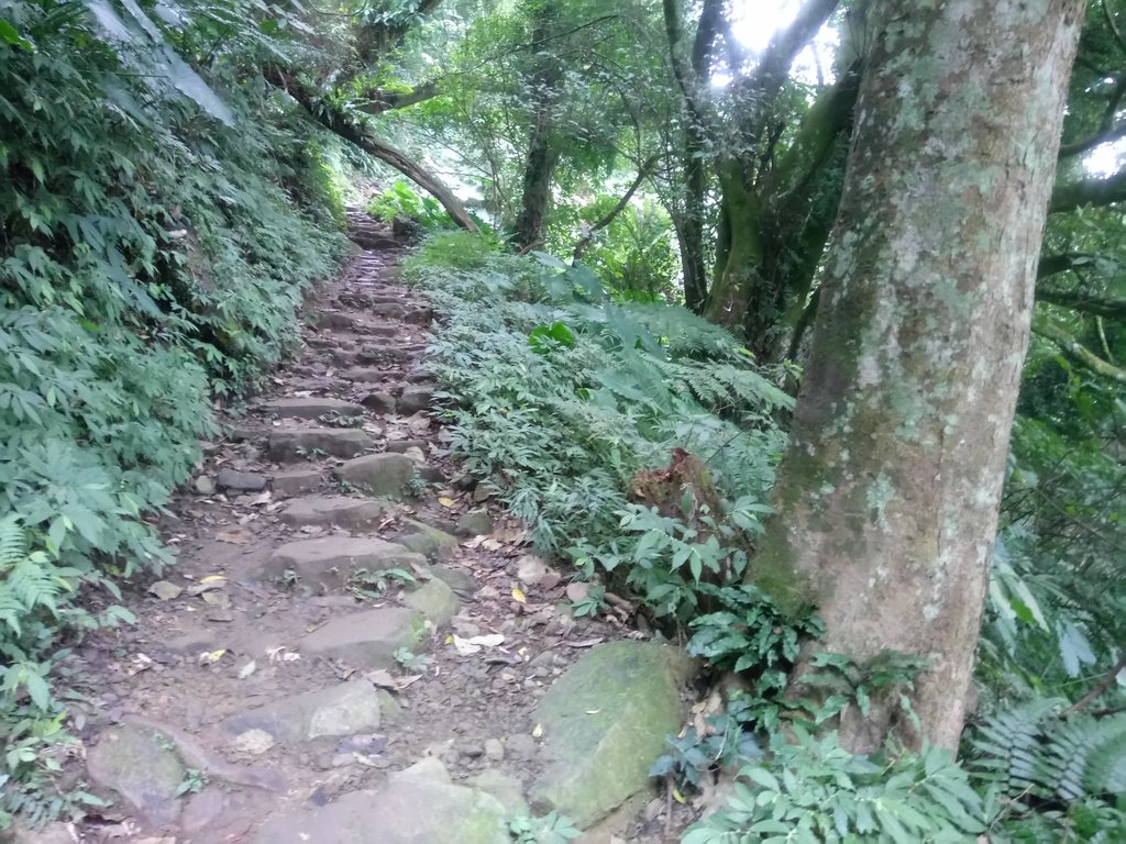 DSC_4867.JPG - 大溪  溪洲山登山步道