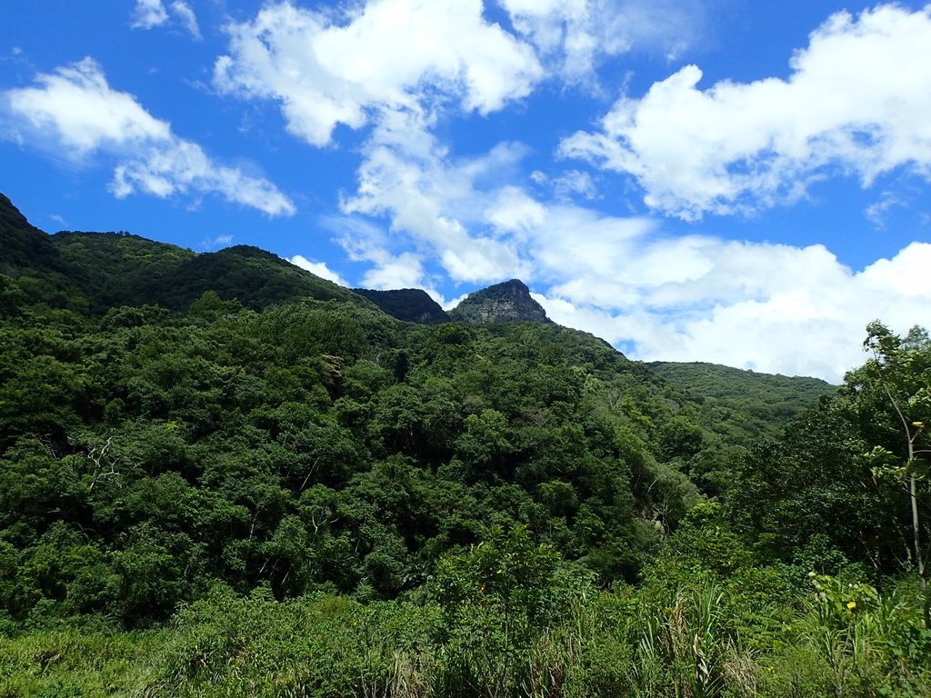 P8287375.JPG - 苗栗  泰安  虎山行