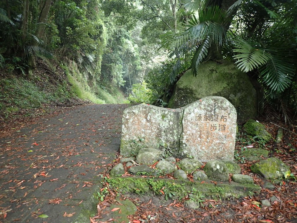 PA231561.JPG - 草嶺  蓬萊瀑布步道