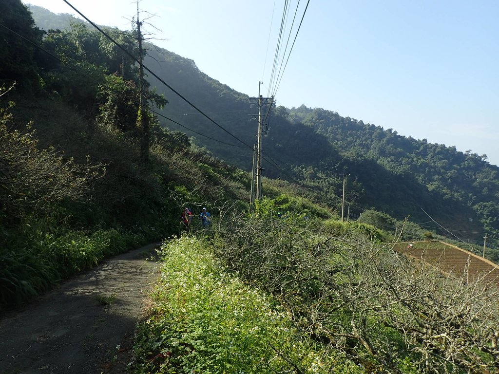 PA064352.JPG - 大湖  馬那邦山  (01)