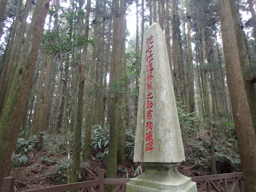 P3257973.JPG - 阿里山  二萬坪步道