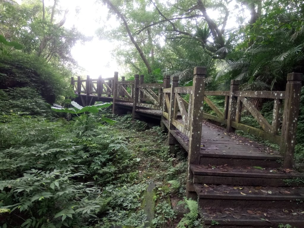 DSC_6033.JPG - 深坑  土庫岳登山步道  (01)