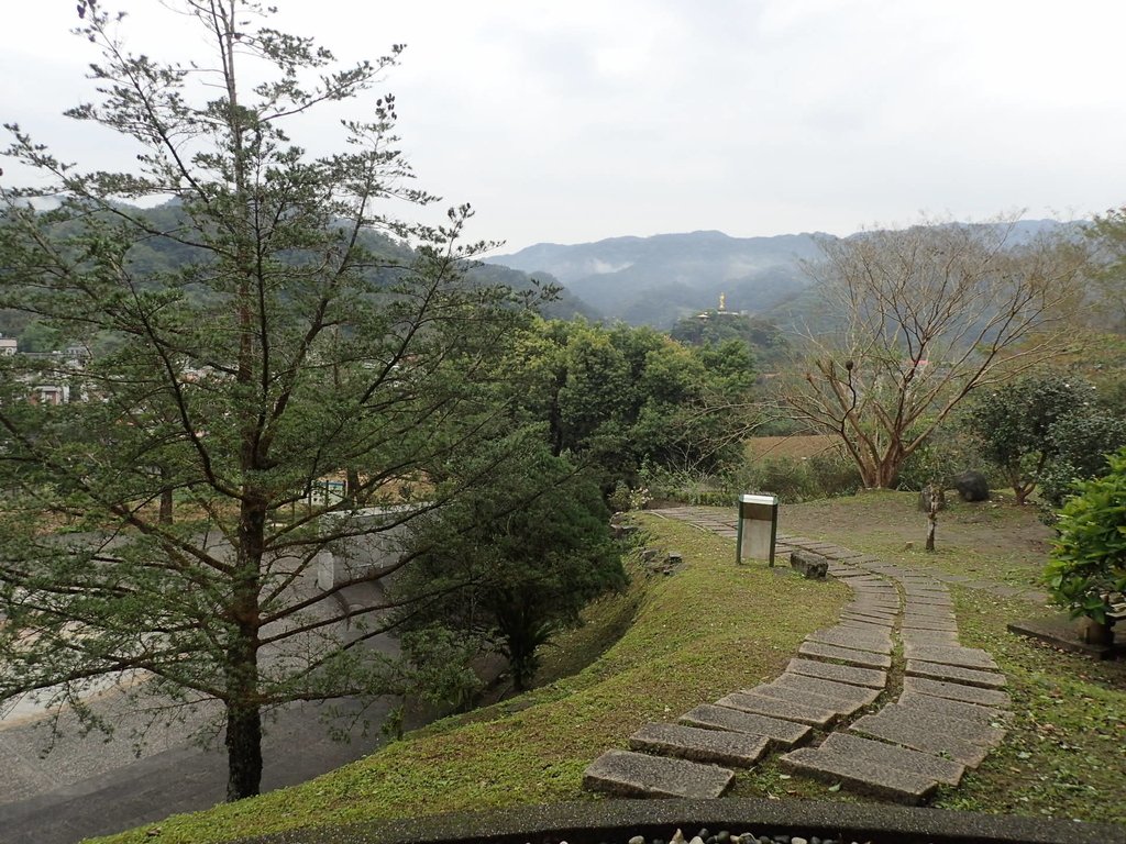 P3170350.JPG - 坪林  鬼子賴尖山