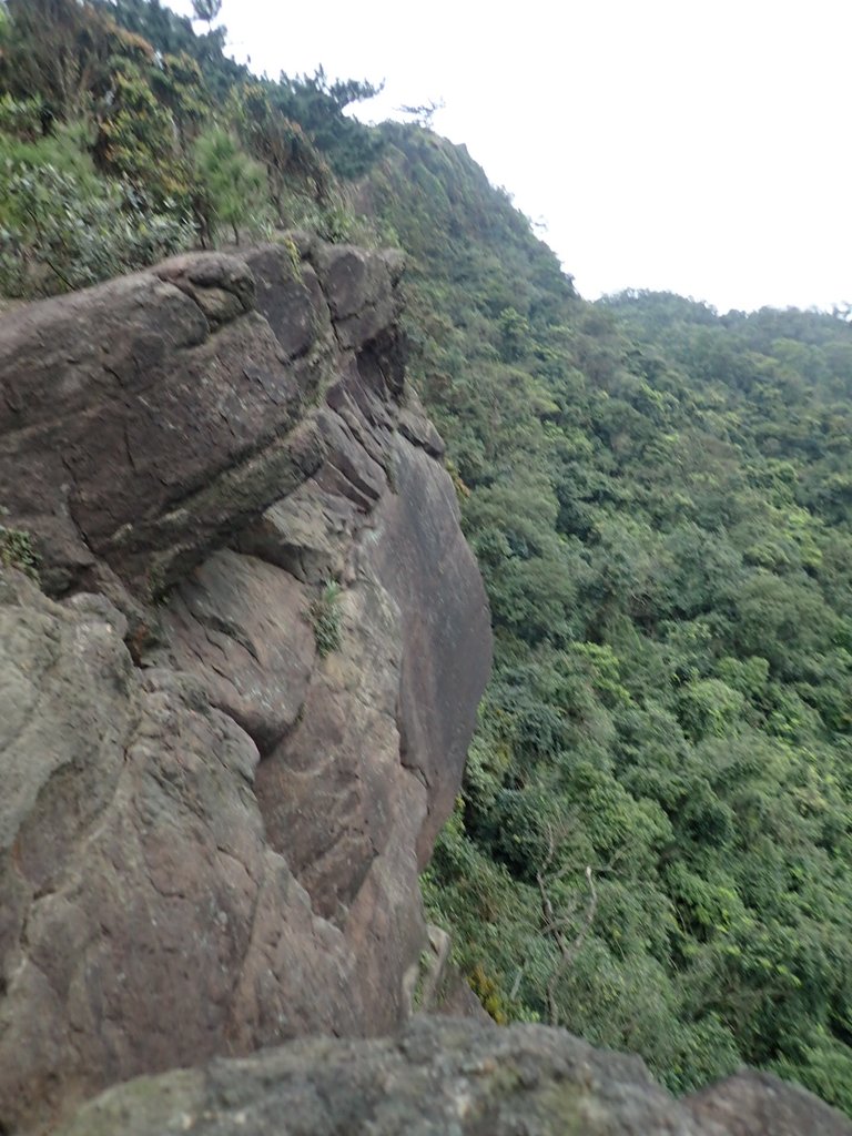 P3160185.JPG - 汐止  金面山(金明山)  稜線步道