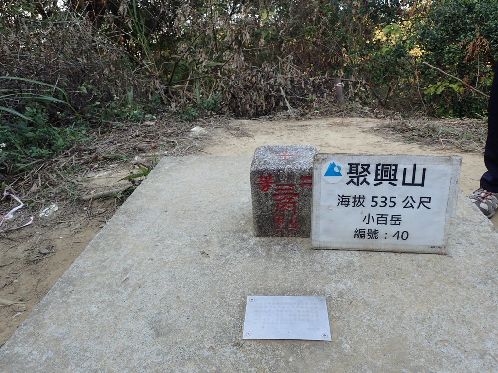 P1123665.JPG - 潭子 聚興山  新田登山步道