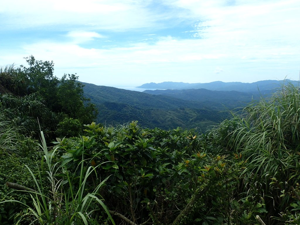 P6090333.JPG - 瑞芳  三貂嶺山  三貂大崙