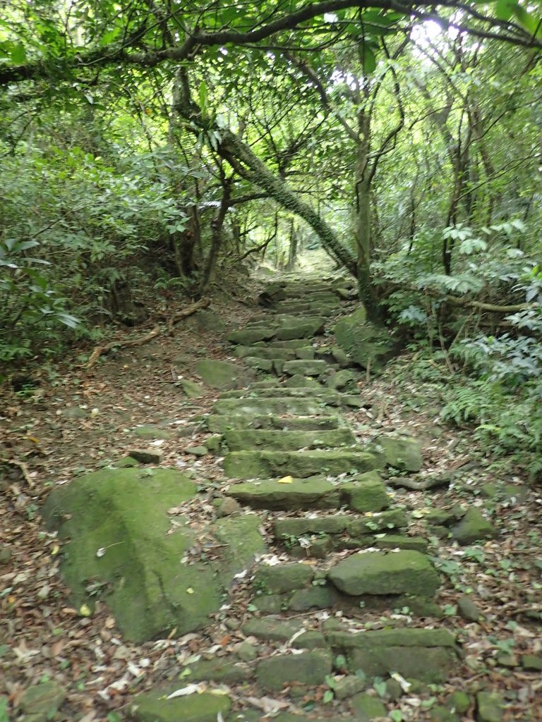 P7062132.JPG - 九份  小粗坑越嶺古道