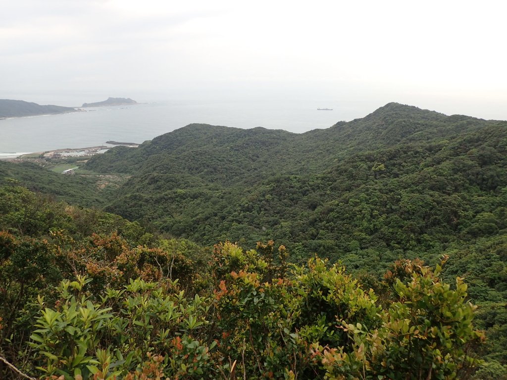 P3308221.JPG - 萬里  瑪鋉山  (望洋崖)