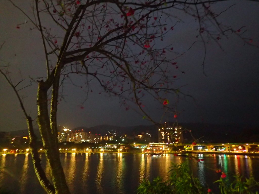 P3116961.JPG - 內湖  大湖公園之夜色