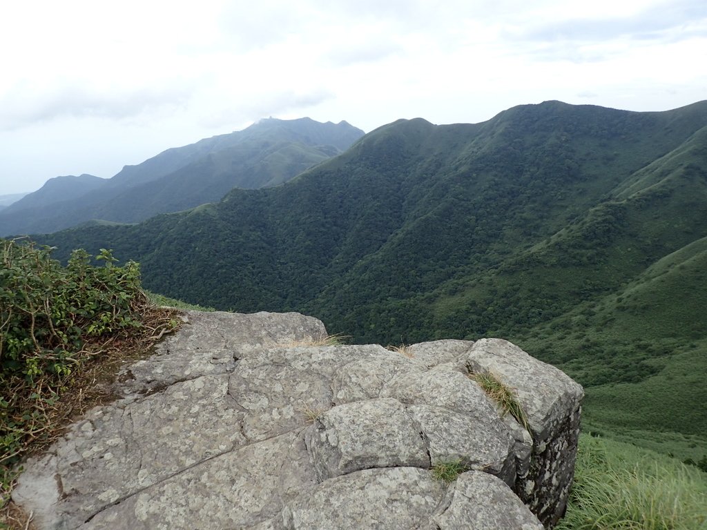 P7165522.JPG - 小觀音山  西峰登山步道