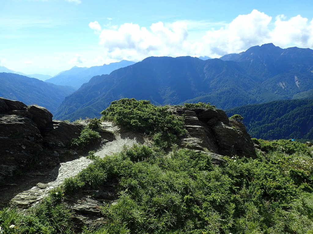 P7245966.JPG - 合歡山  北峰之美  (上)