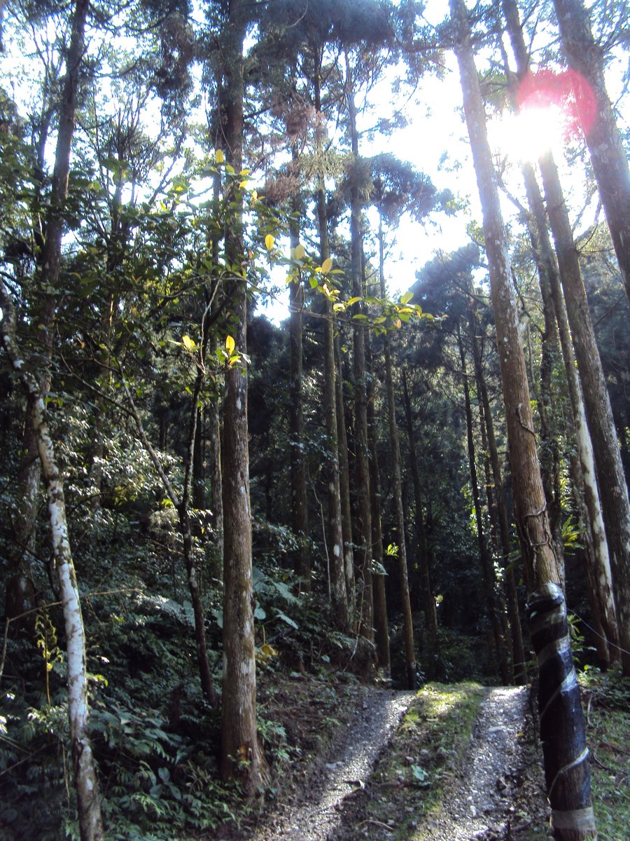 DSC04436.JPG - 三峽  滿月圓遊樂區