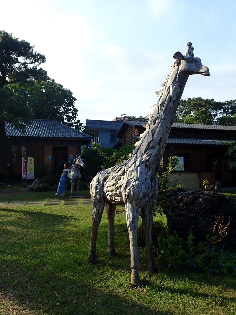 P8130736.JPG - 再訪  花蓮  松園別館