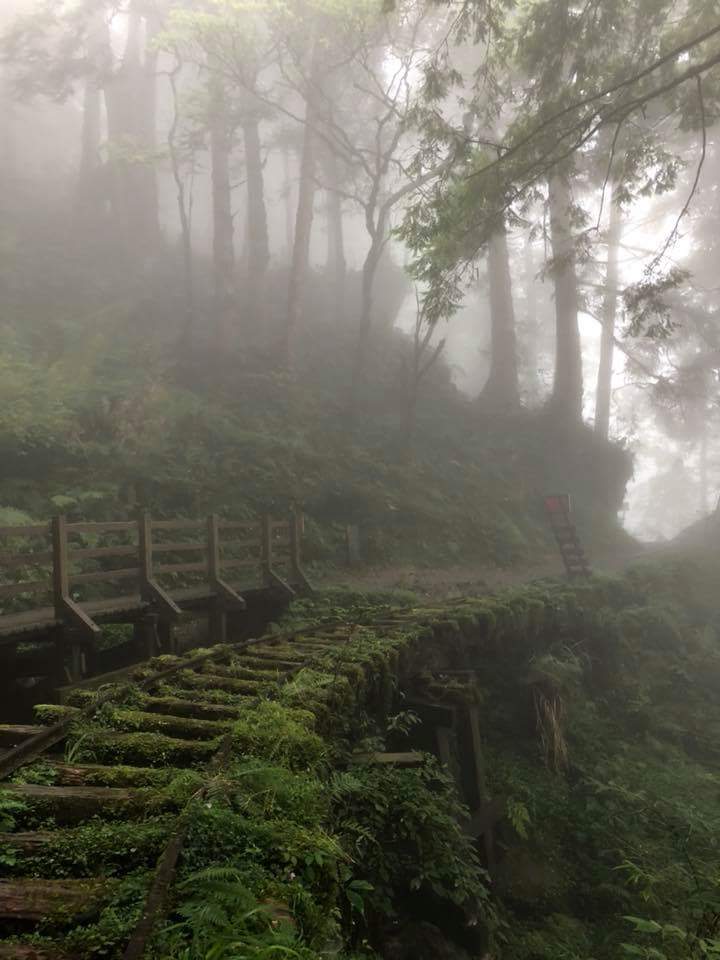 FB_IMG_1534941681019.jpg - 太平山 見晴懷古步道