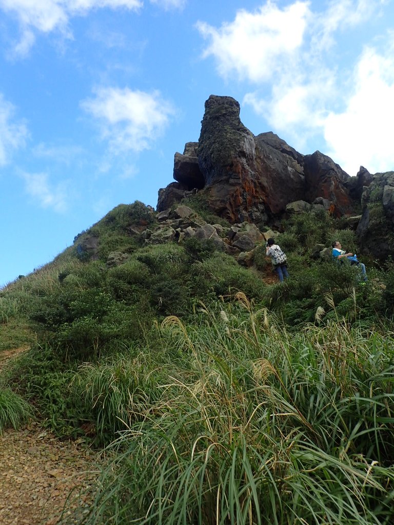 P1102358.JPG - 半坪山  無耳茶壺山