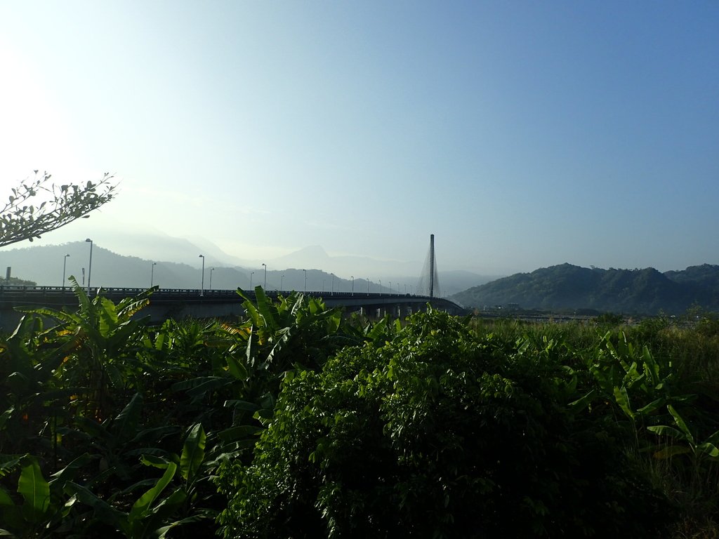 P1073099.JPG - 集集  集鹿大橋  晨光之美