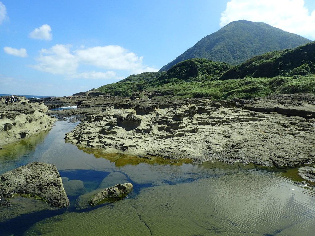 PA115071.JPG - 東北角海岸岩石之美  (03)