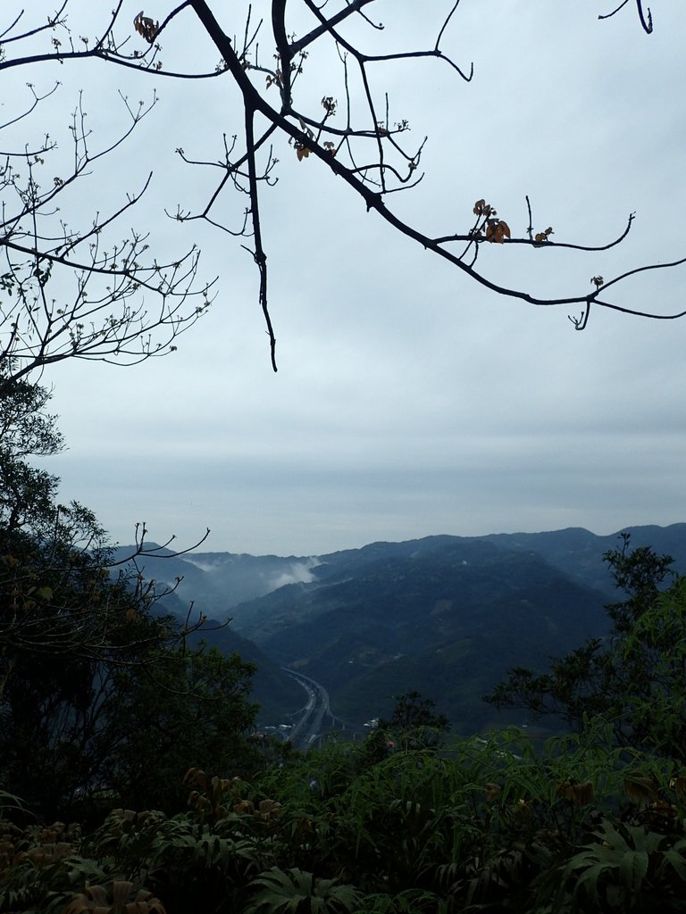 P3170376.JPG - 坪林  鬼子賴尖山