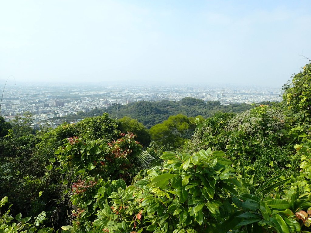 P2095092.JPG - 霧峰  阿罩霧山